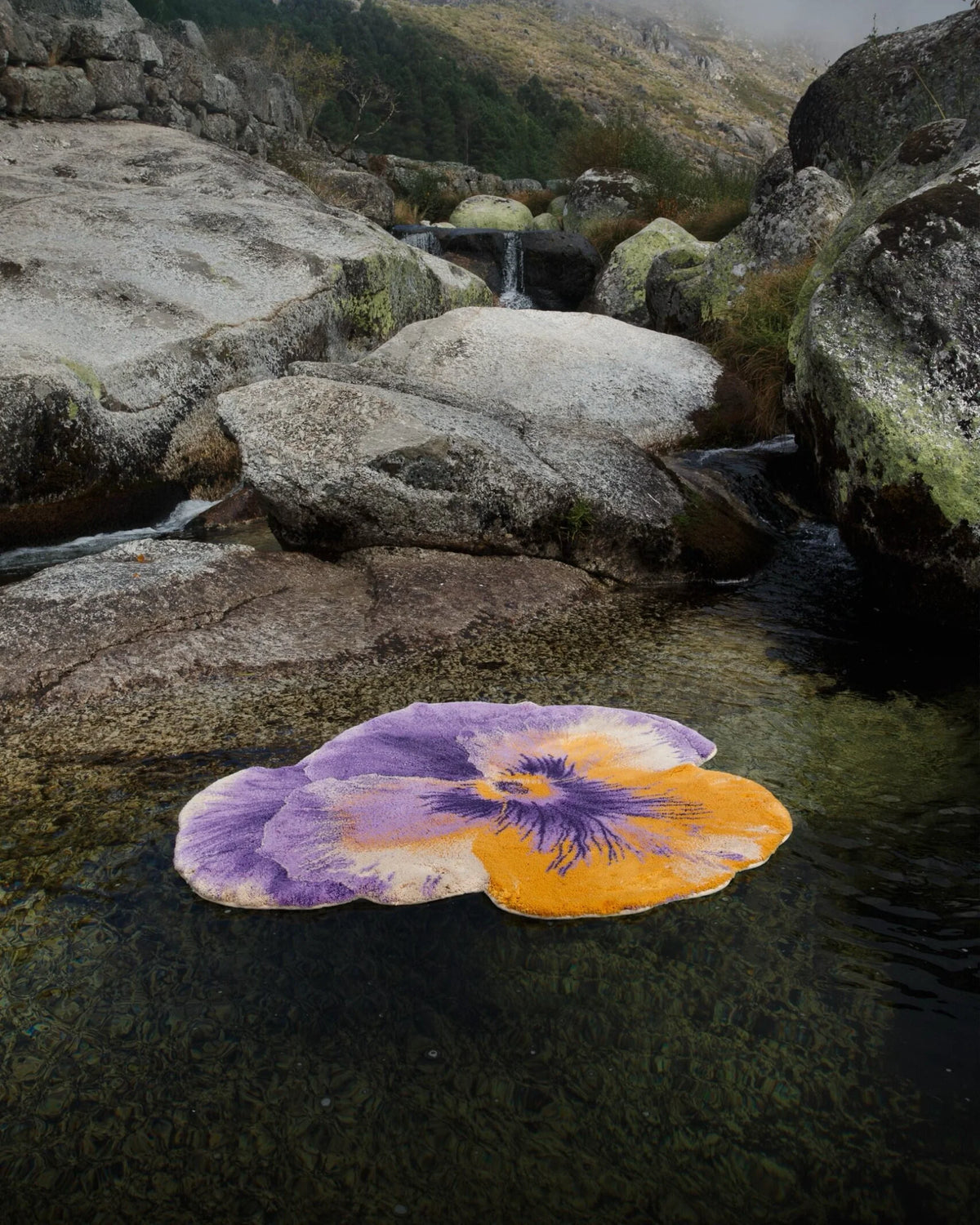 Rugs Pansy
