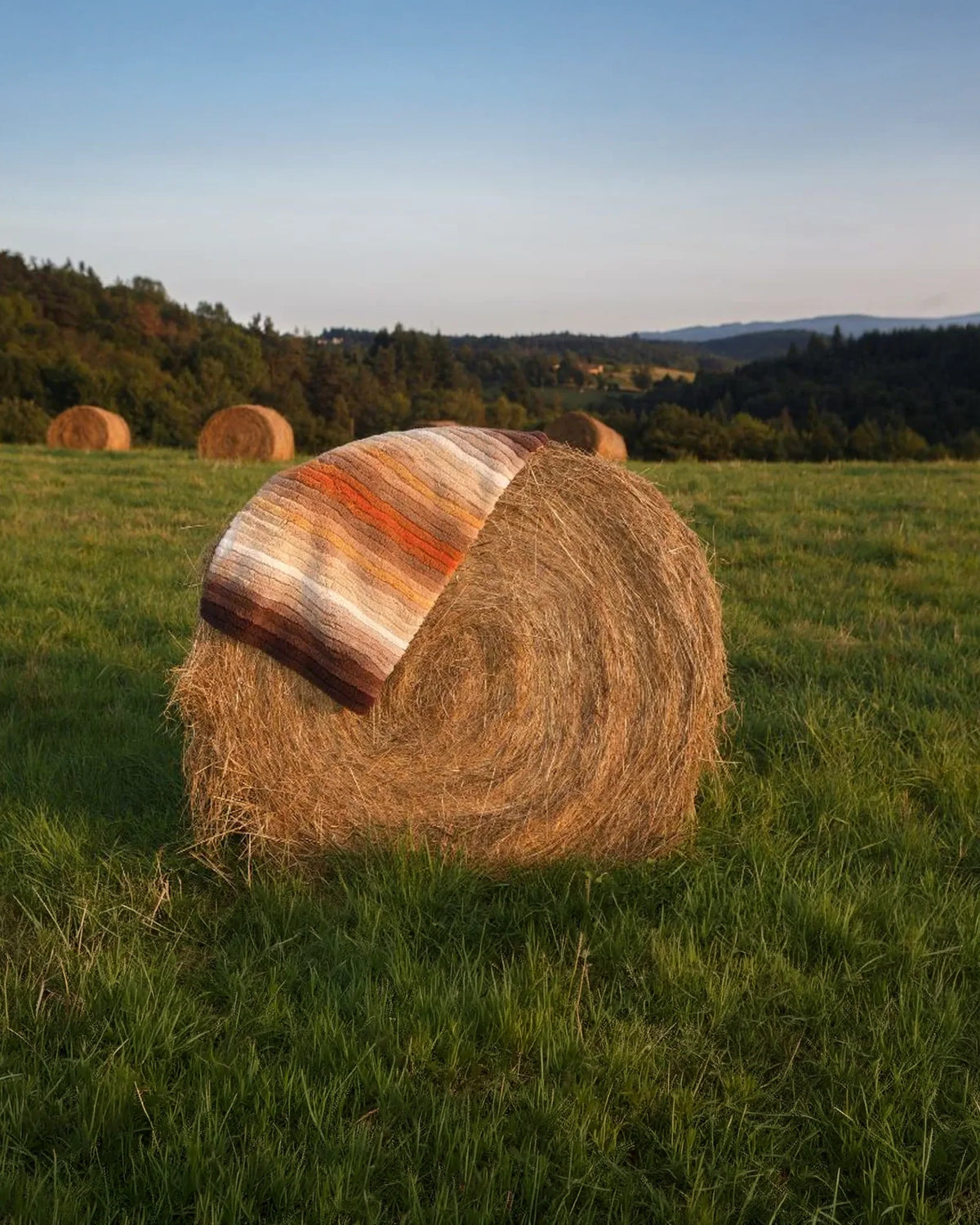 Rugs Santa Cruz