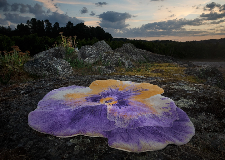 PANSY 870 CURCUMA-Abyss &amp; Habidecor-The Towel Boutique